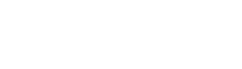 Ethniq