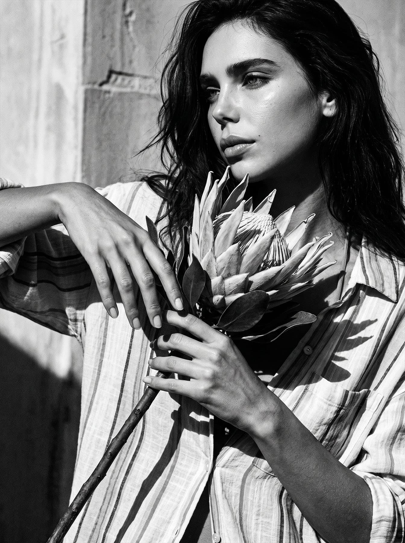 Portfolio image 2